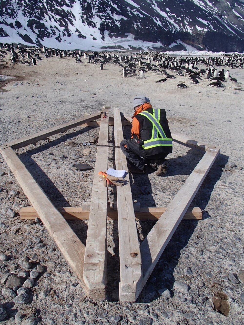 2015-16 Truss load testing (006)