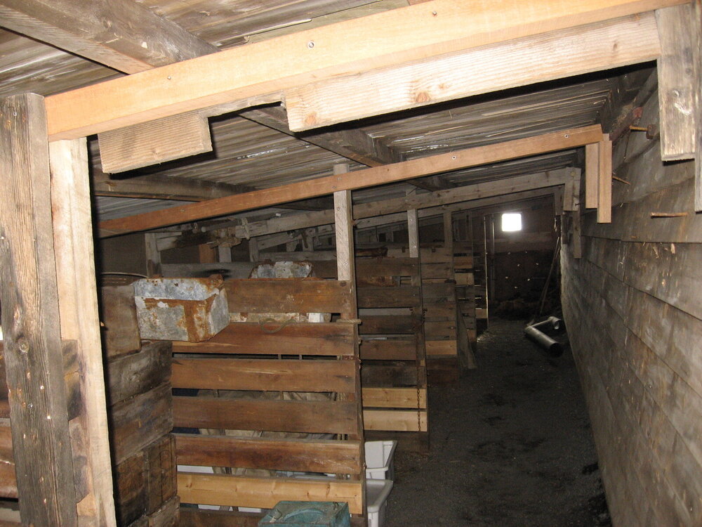 2010-11 Stables inside Scott's 'Terra Nova' hut, Cape Evans