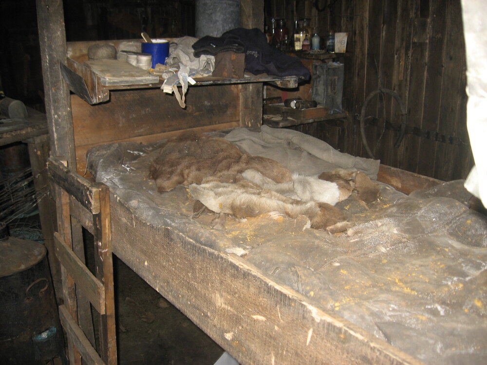 2010-11 Simpson's bunk inside Scott's 'Terra Nova' hut, Cape Evans