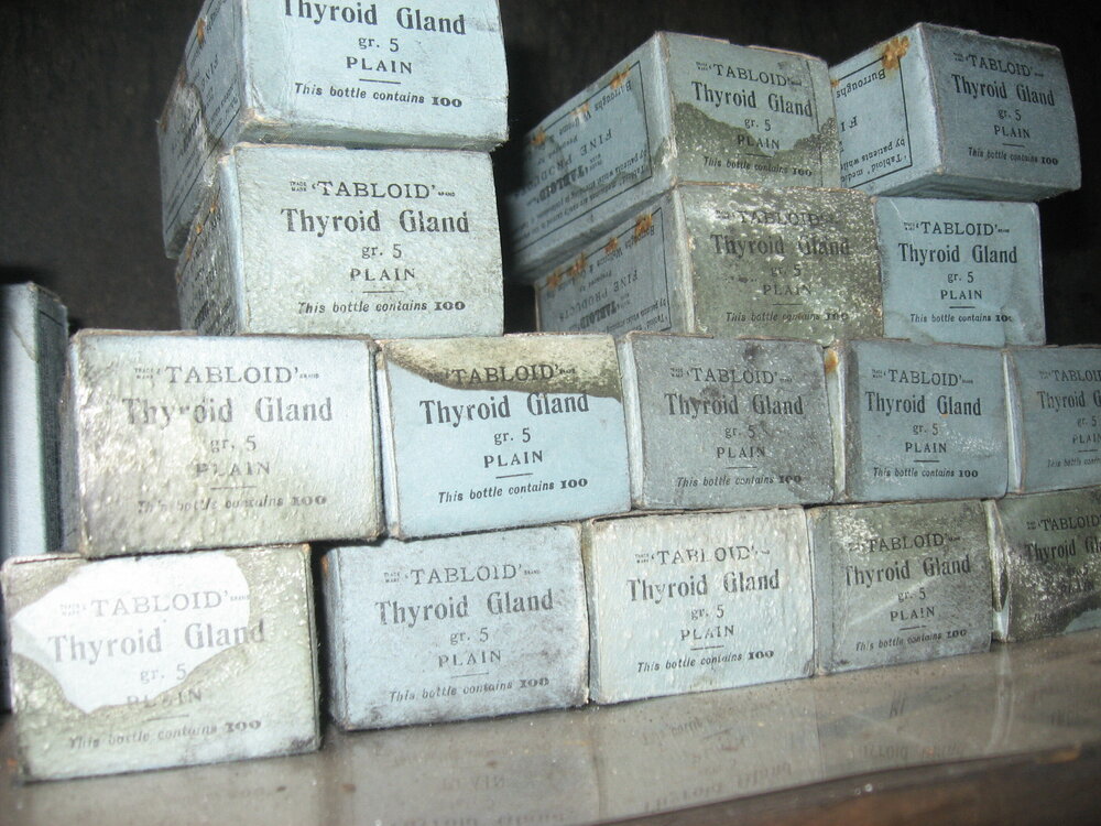 2010-11 Stacked boxes of thyroid gland tabloids, Cape Evans