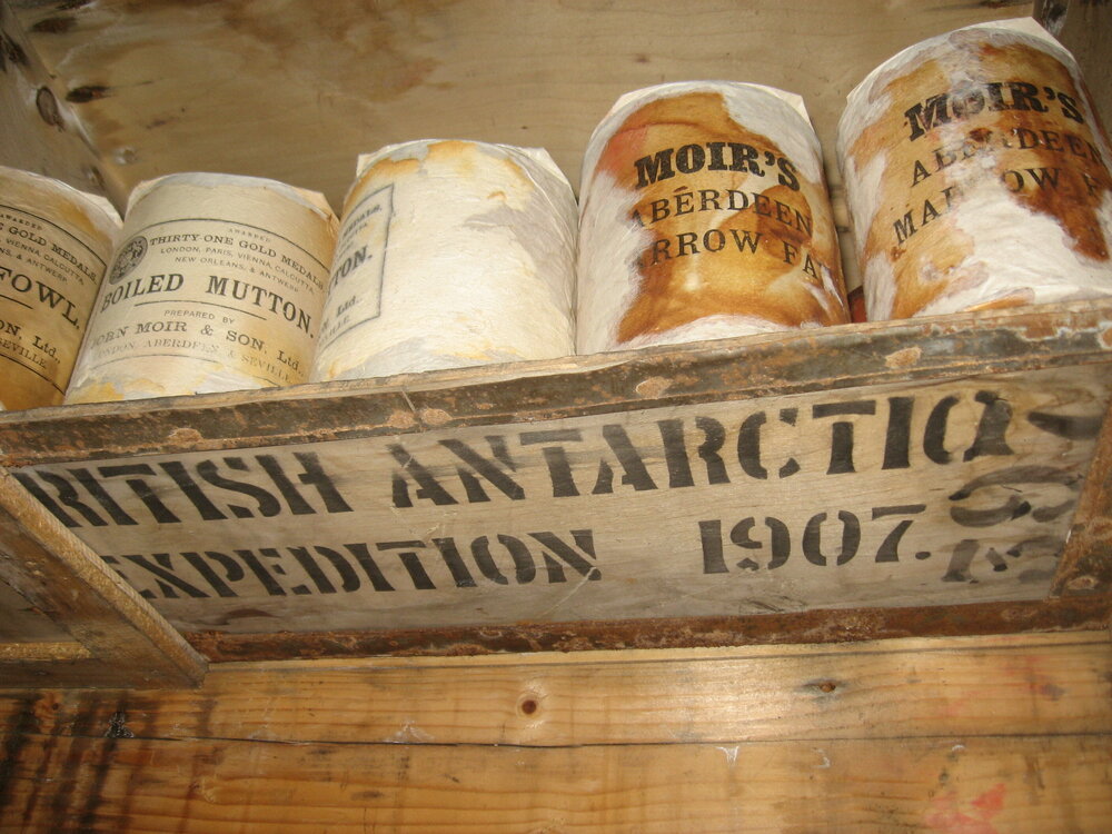 2010-11 Shelf repurposed from a Venesta case, Cape Royds