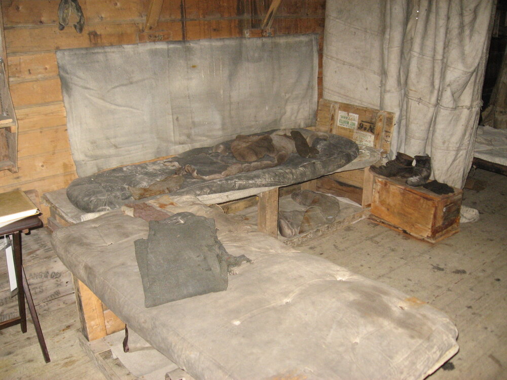 2010-11 Bunks inside Shackleton's 'Nimrod' hut, Cape Royds