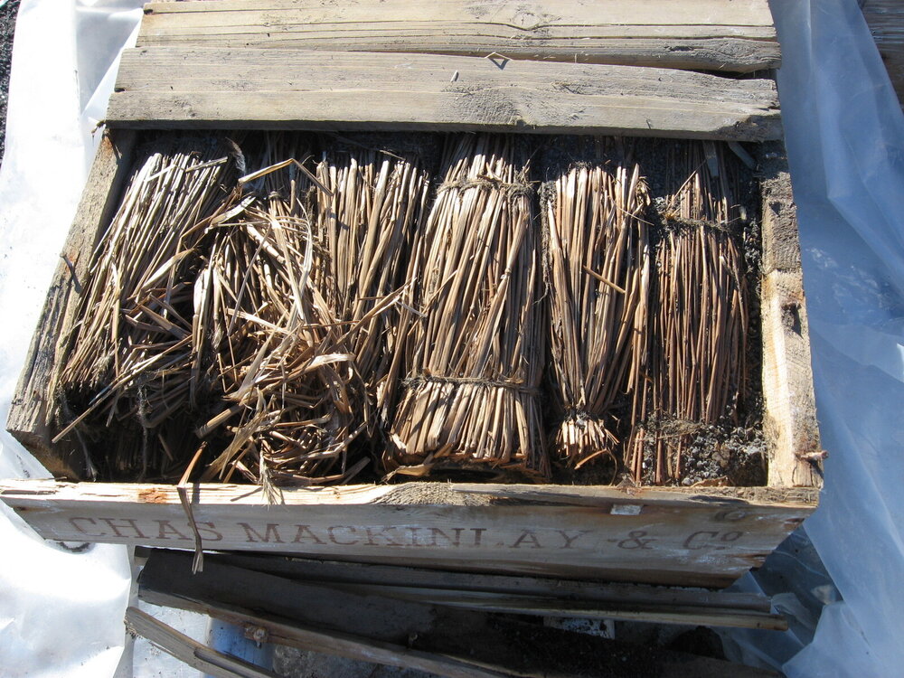 2010-11 Whisky crates and packing materials, Cape Royds