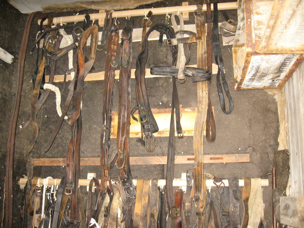 2010-11 Tack hanging inside Mawson's Laboratory, Cape Royds (001)