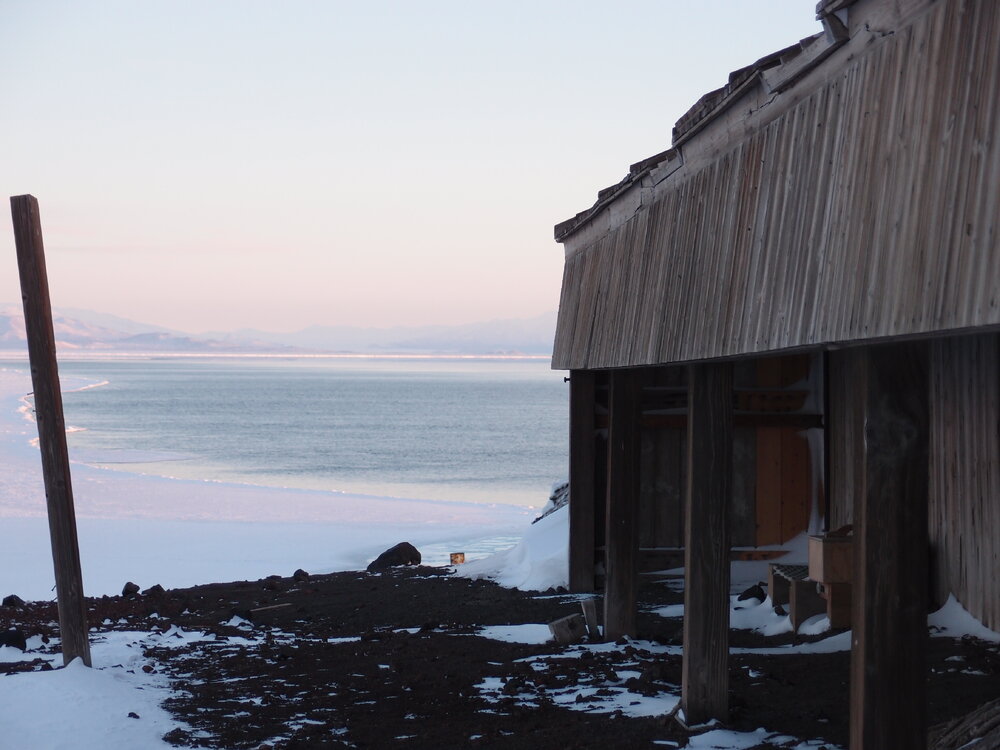 2014 Scott's 'Discovery' hut exterior, South apron, Hut Point