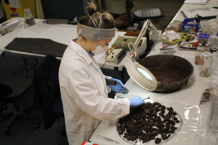 2014 AHT winter conservators at work - Stefanie White treating pan with seal meat (001)