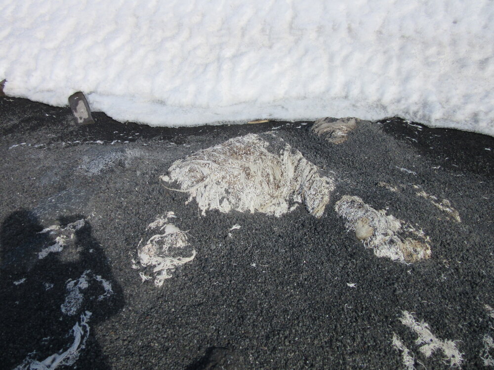 2015-16 Ice caves at Cape Evans (002)