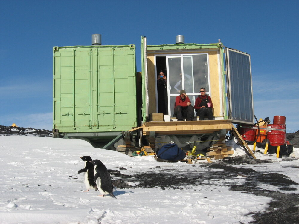 2010-11 Two Adelie penguins at the AHT field camp