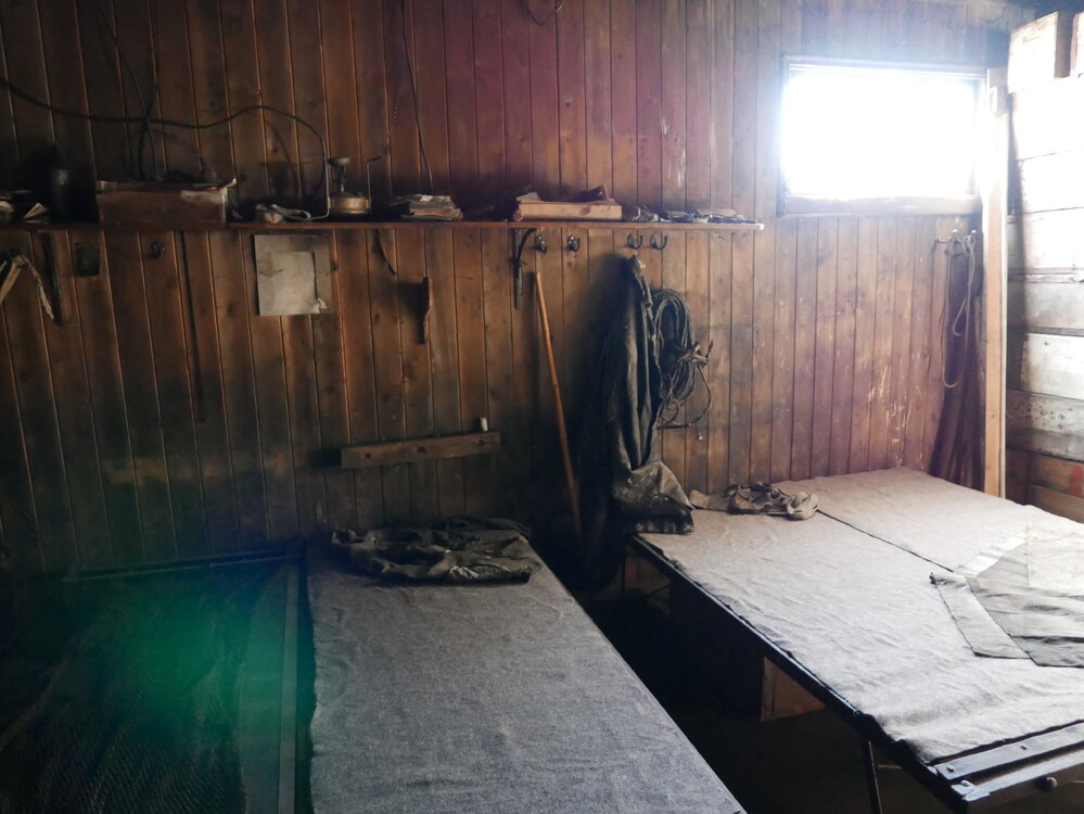 2018-19 Bunks in the Mess Deck inside Scott's 'Terra Nova' hut, Cape Evans