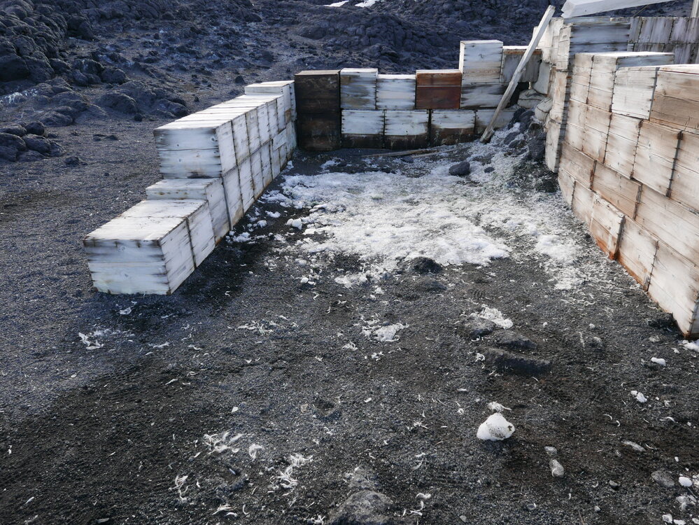 2018-19 Garage area inside Shackleton's 'Nimrod' hut, Cape Royds