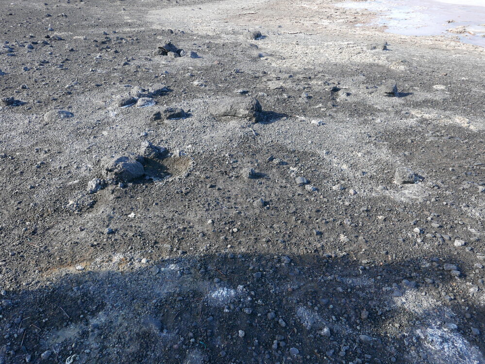2018-19 Loose historic nails in the environment at Cape Royds (001)