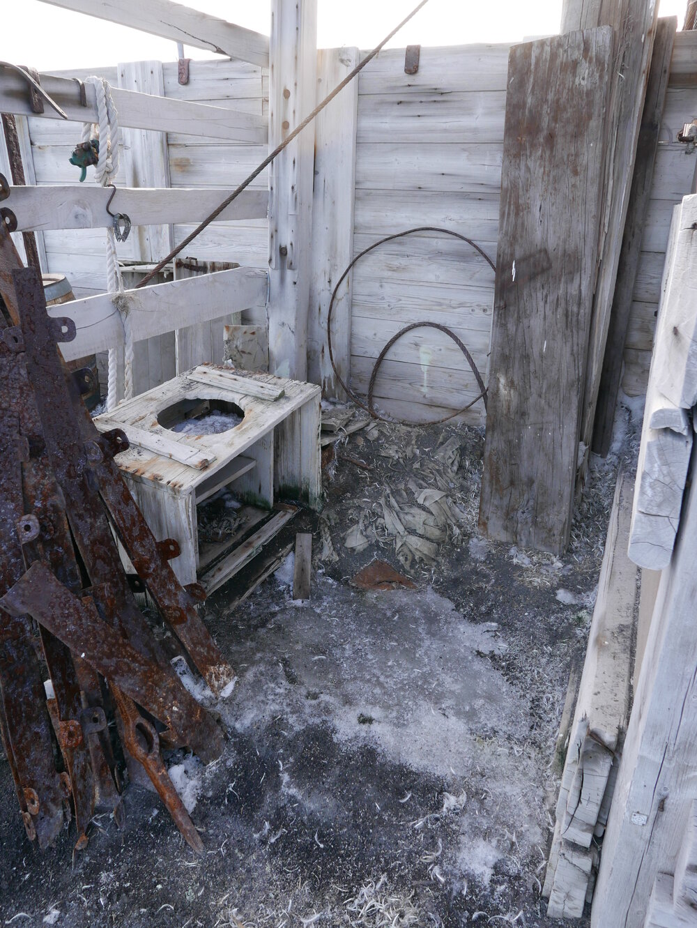 2018-19 Latrine outside Shackleton's 'Nimrod' hut at Cape Royds