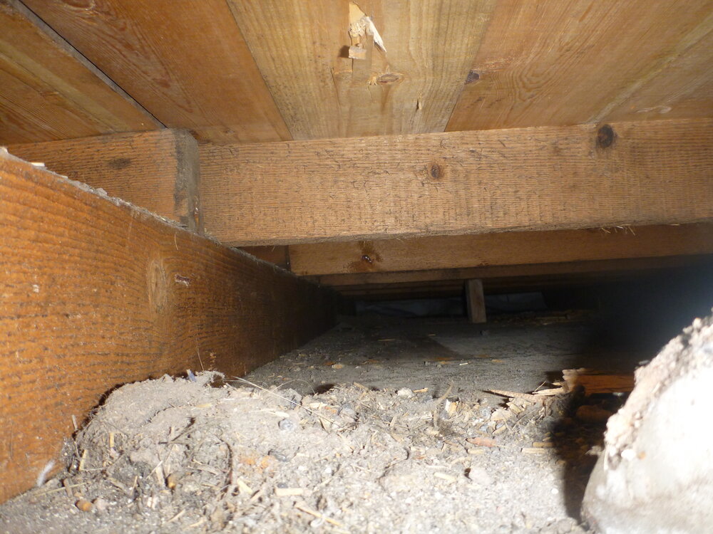 View under floor, Scott's 'Discovery' hut 