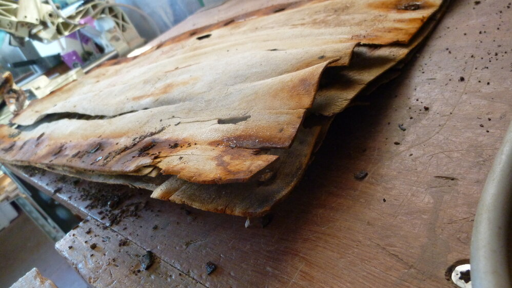 Venesta case panel during treatment (005)