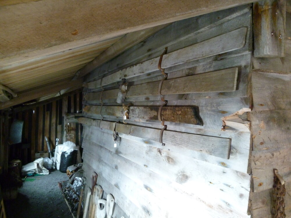Skis on wall in Western Annexe, Scott's 'Terra Nova' hut (001)