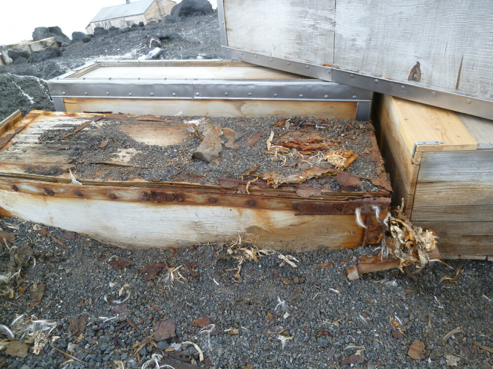 Southern Food Cache (005)