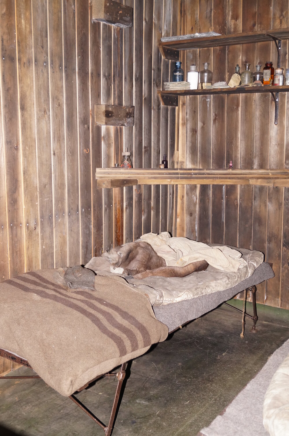 Bed coverings, Scott's 'Terra Nova' hut (008)