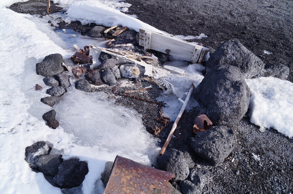 2012-13 Dog skeleton, environs of Cape Evans (001)