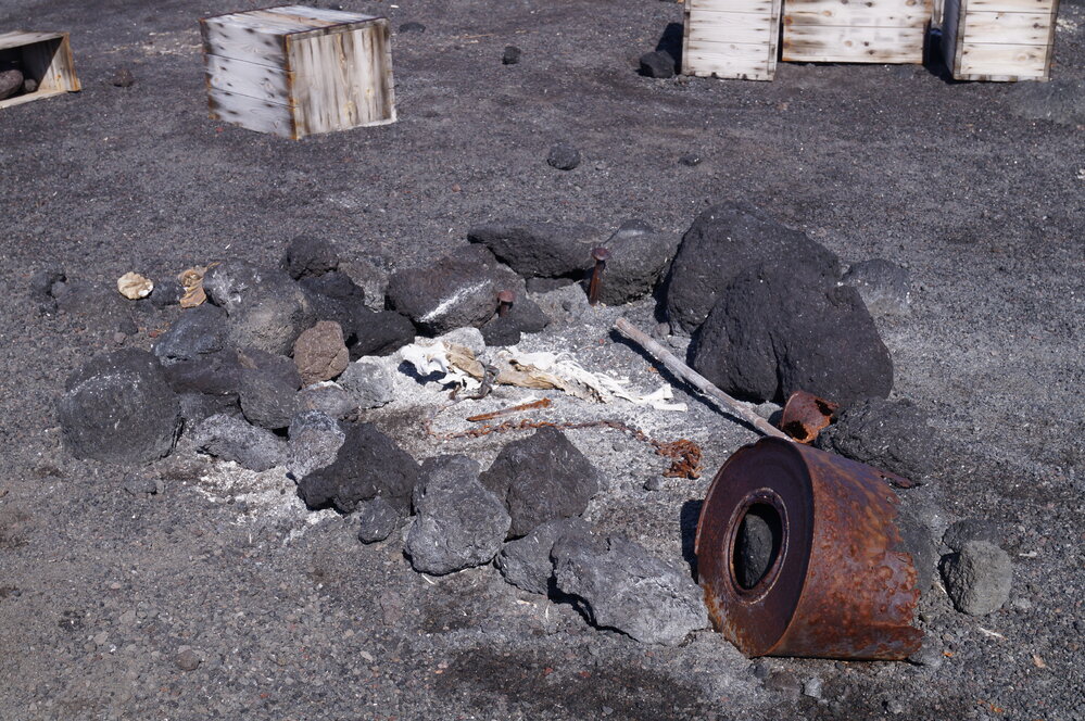 2012-13 Dog skeleton, environs of Cape Evans (002)