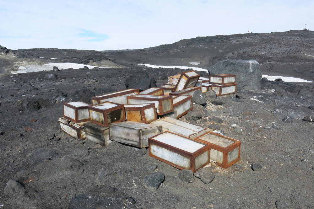 2013-14 Southern food cache in the environment, Cape Evans (001)