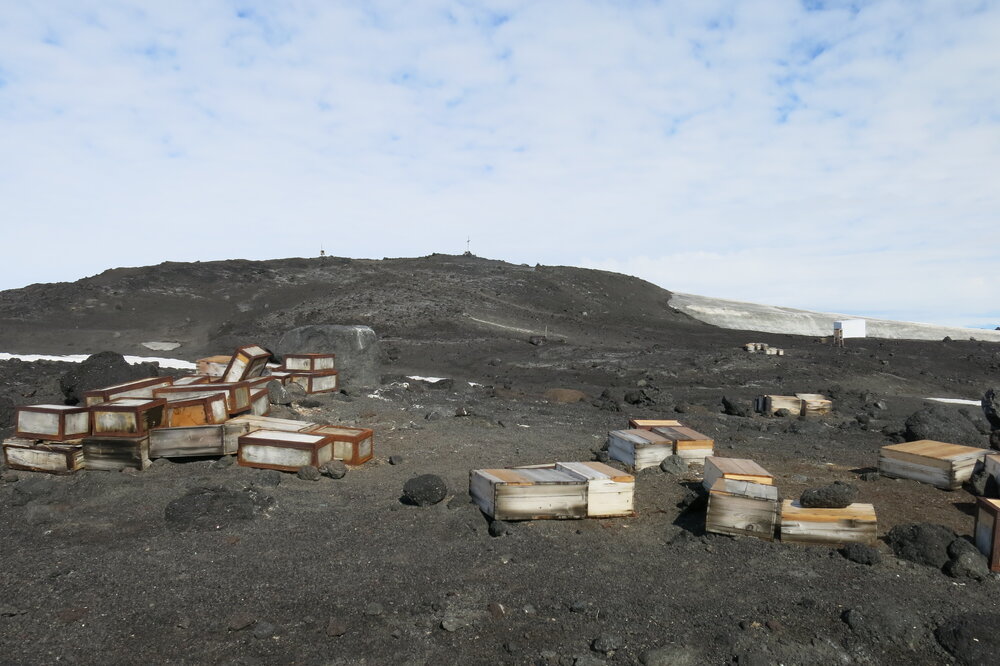 2013-14 Southern food cache in the environment, Cape Evans (002)
