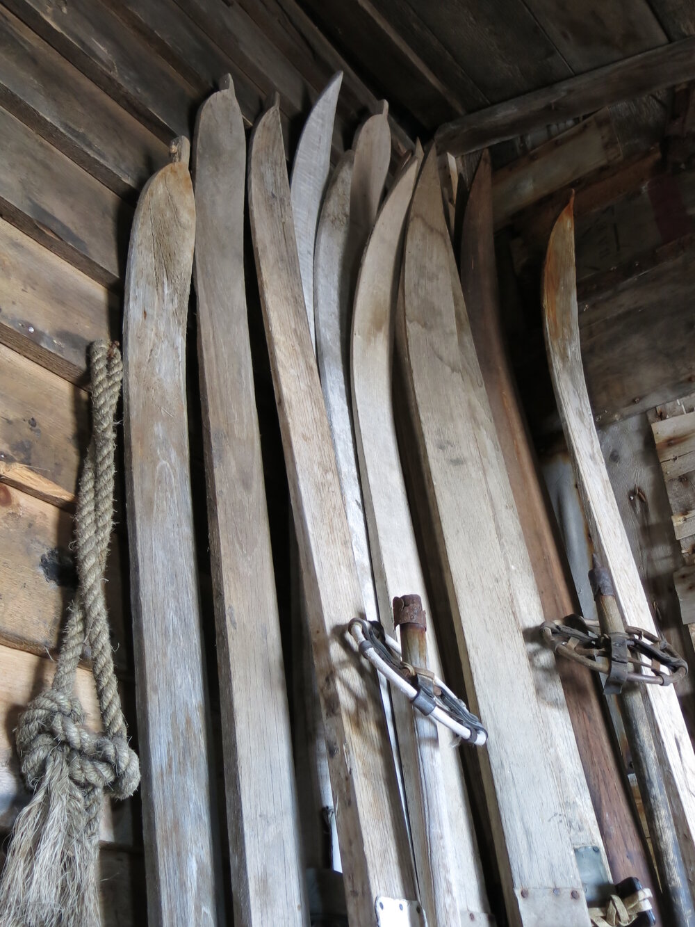 2013-14 Skis in the Entranceway of Scott's 'Terra Nova' hut, Cape Evans (002)