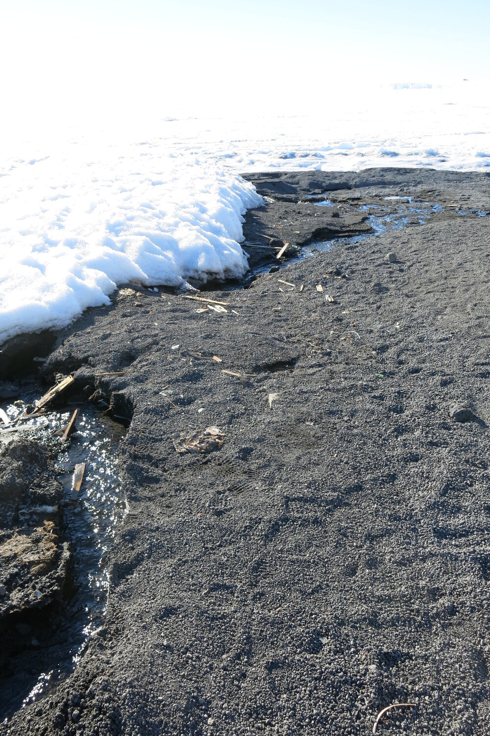 2013-14 Artefacts scattered around Scott's 'Terra Nova' hut, Cape Evans (001)
