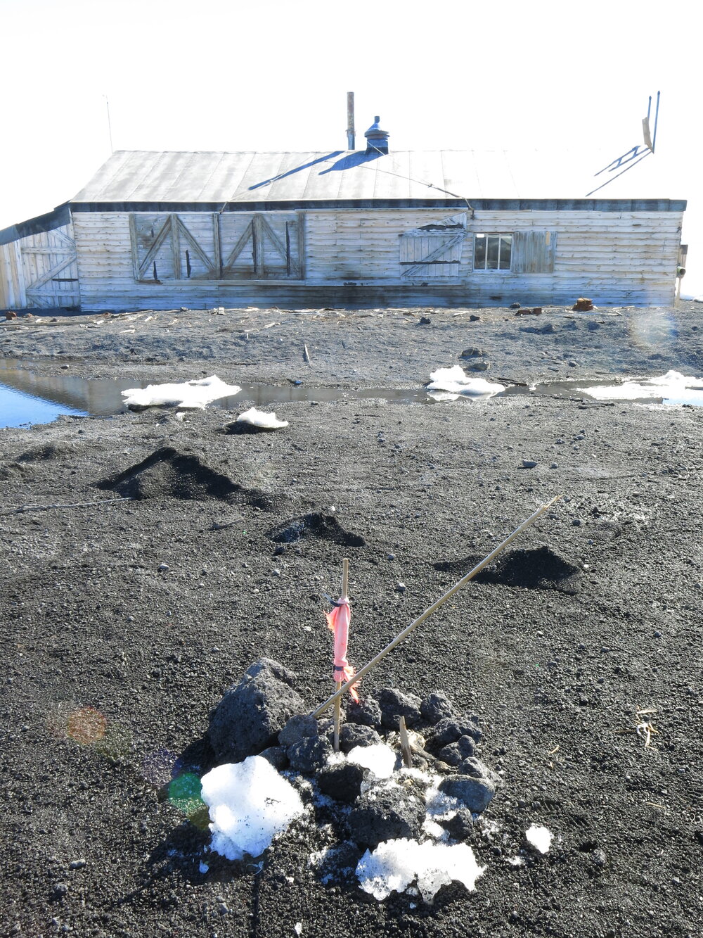 2013-14 Flag noting the position of a dog skeleton, Cape Evans (002)