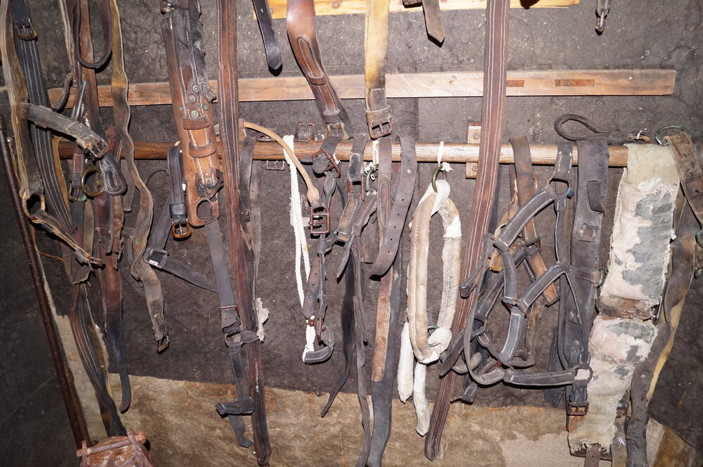 2012-13 Shackleton's 'Nimrod' hut inspection, interior (002)