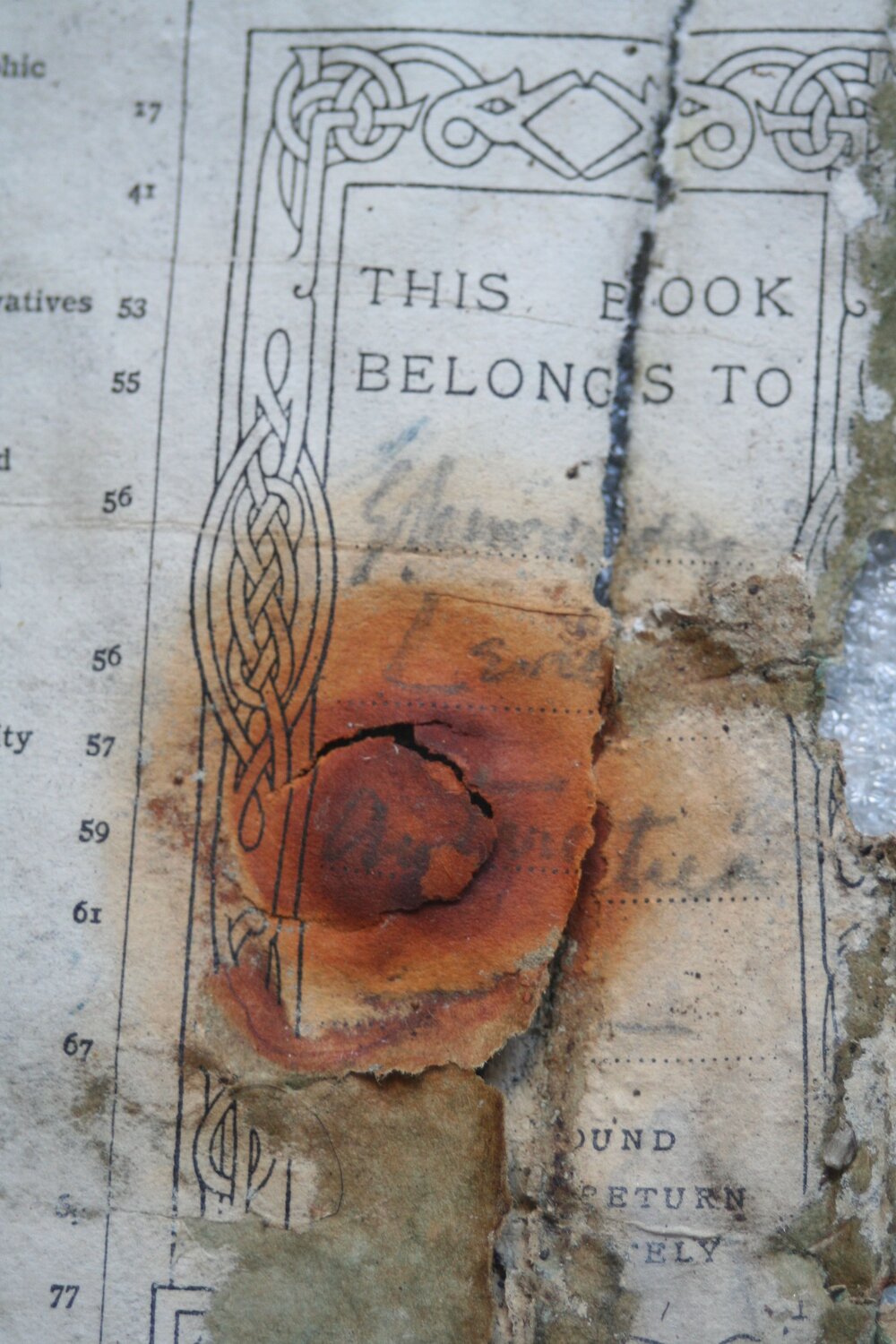 Levick journal found in melt water (002)