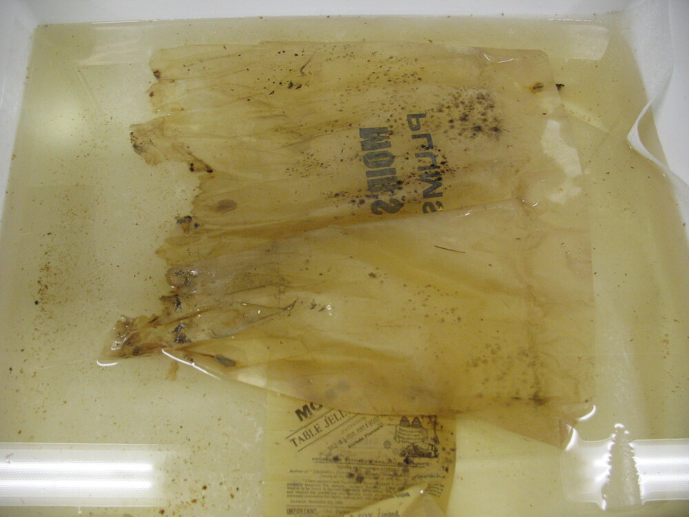 Organic material from packaging for plums (004)
