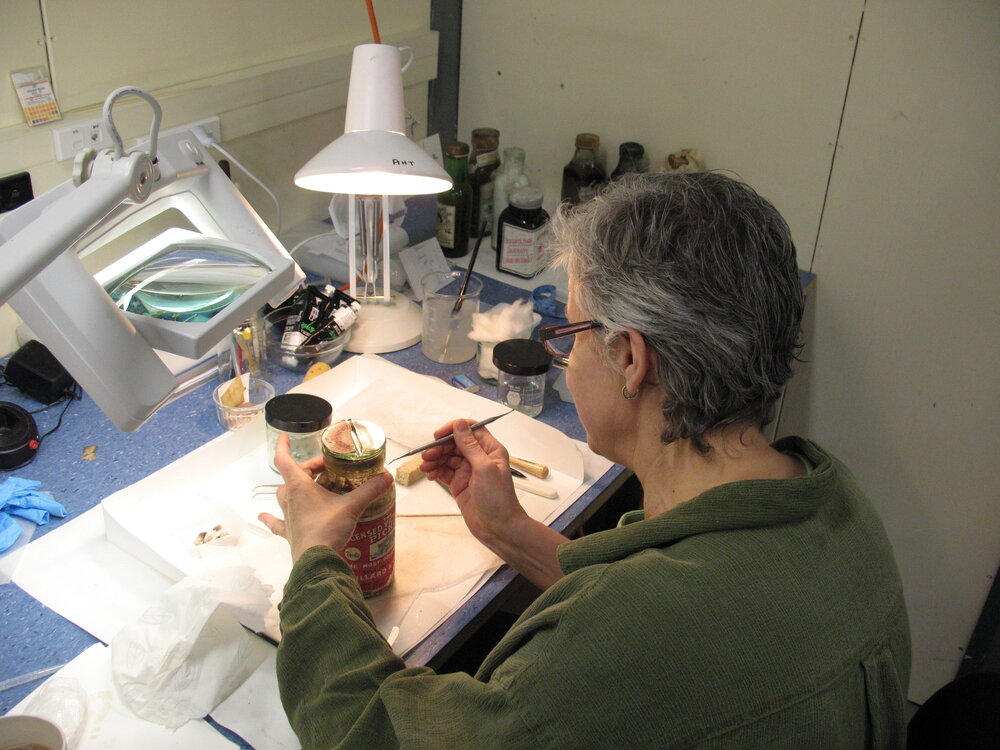 AHT Conservator Therese Charbonneau treating a bottle of pickles (001)
