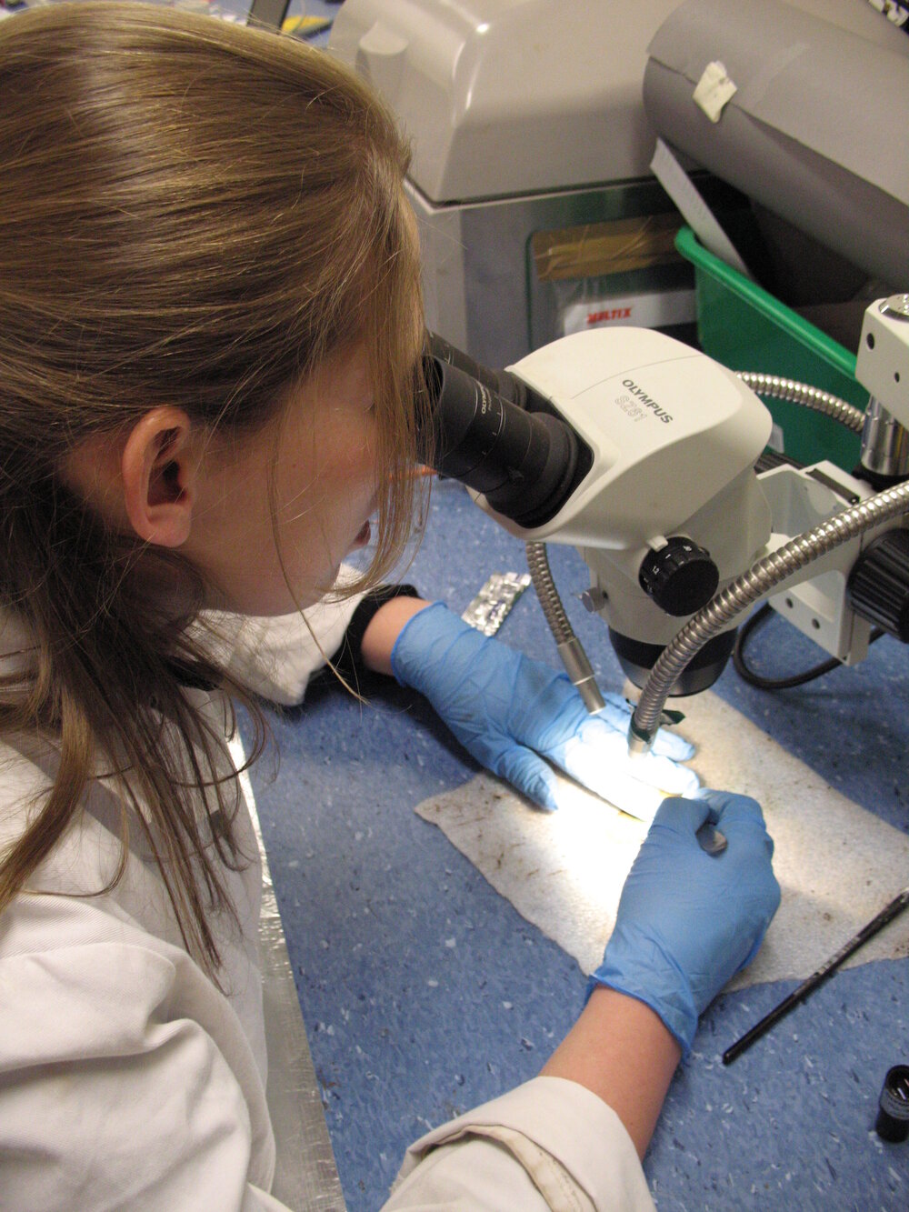 AHT Conservator Susanne Grieve inspecting artefact (001)