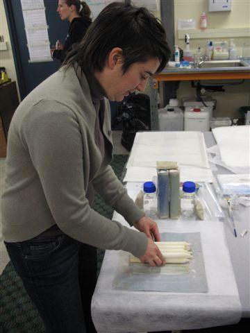 AHT Conservator Lizzie Meek repackaging candles
