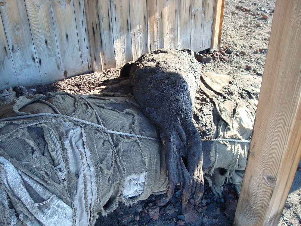 Ship's awning and seal carcass, Scott's 'Discovery' Hut (001)