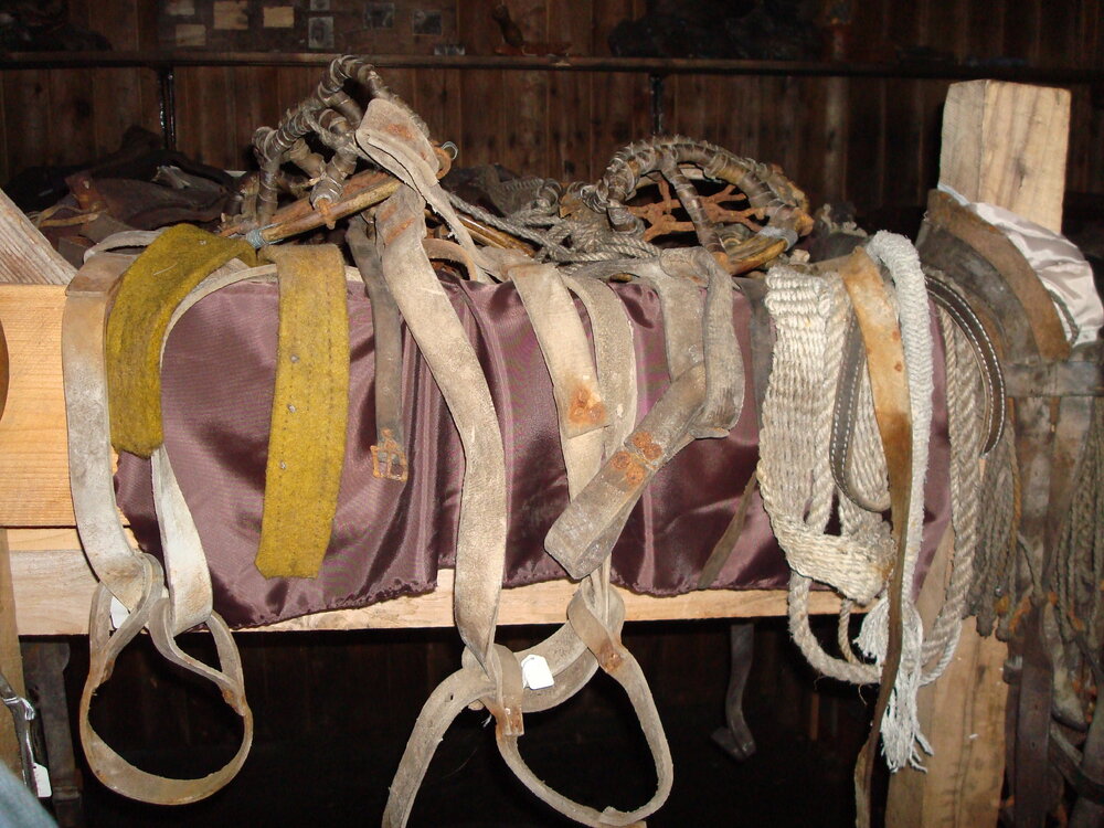 Harnesses and pony shoes on The Tenements bunks, Scott's 'Terra Nova' Hut 