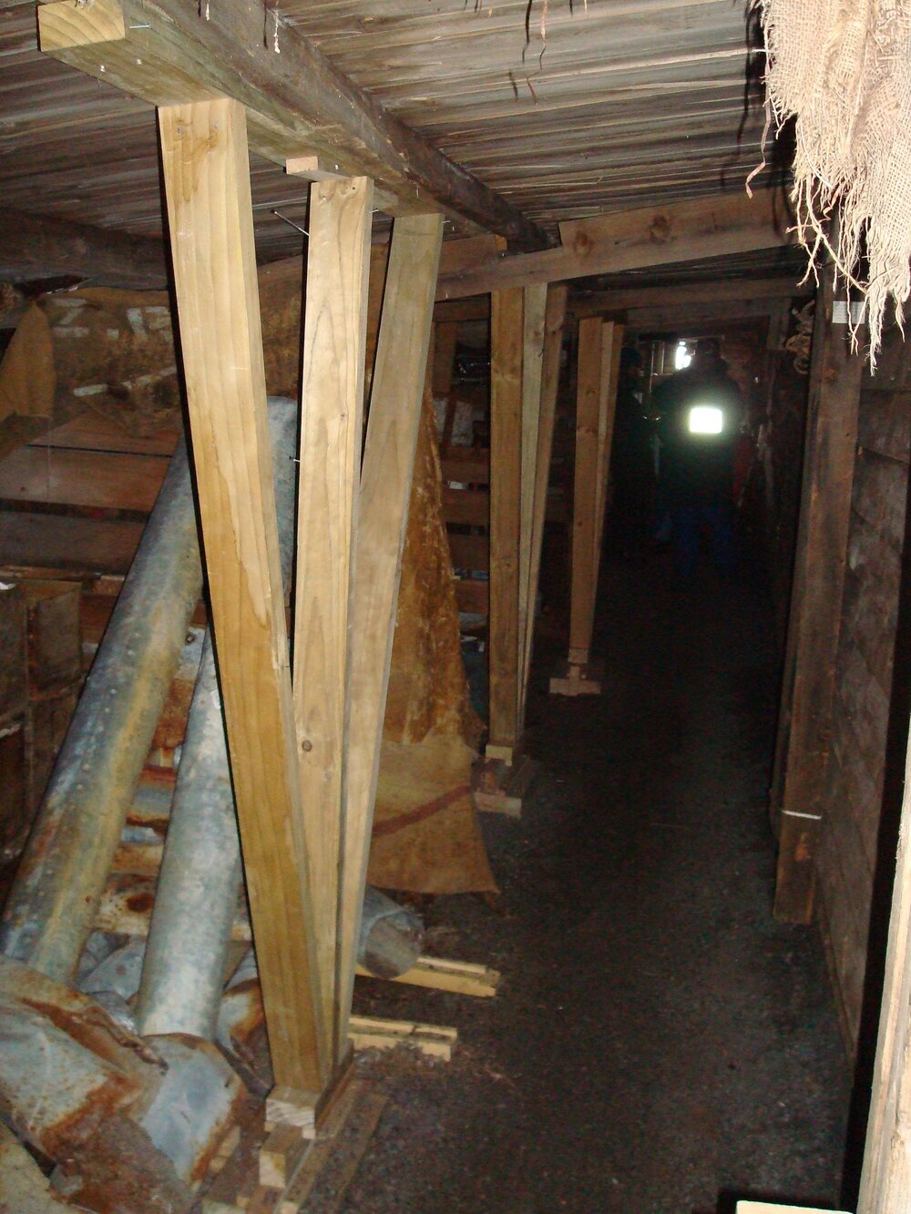 Bracing in stable, Scott's 'Terra Nova' Hut