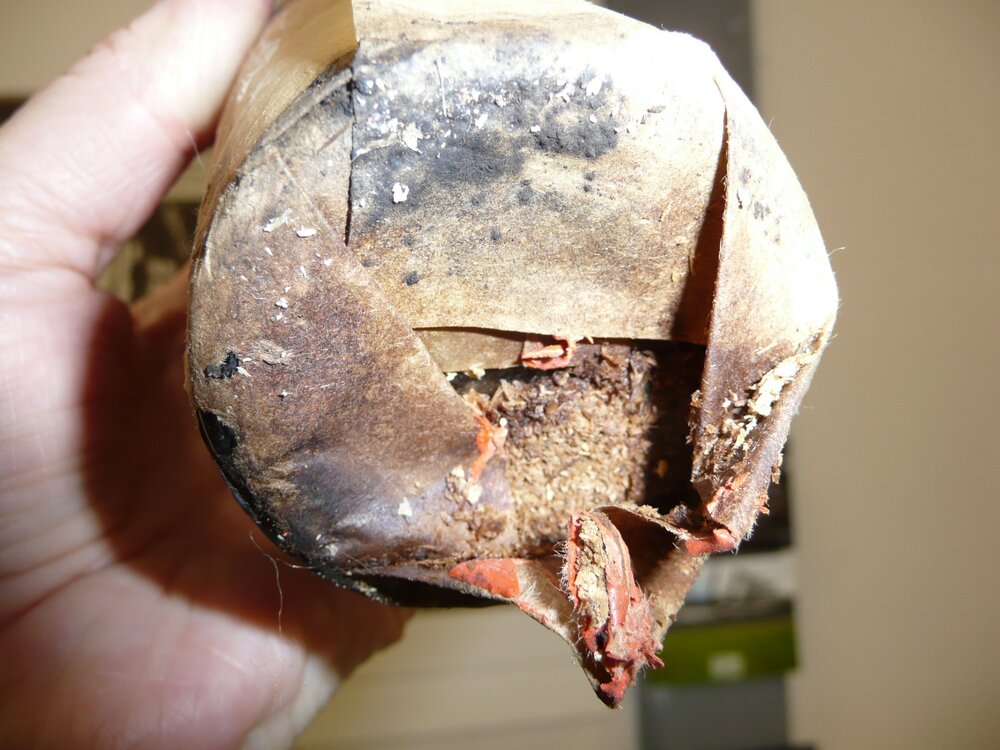 Unfolding wrapper on bottle (003)