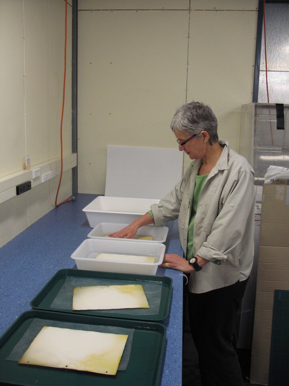 Conservator Therese Charbonneau working on Aurora Australis paper