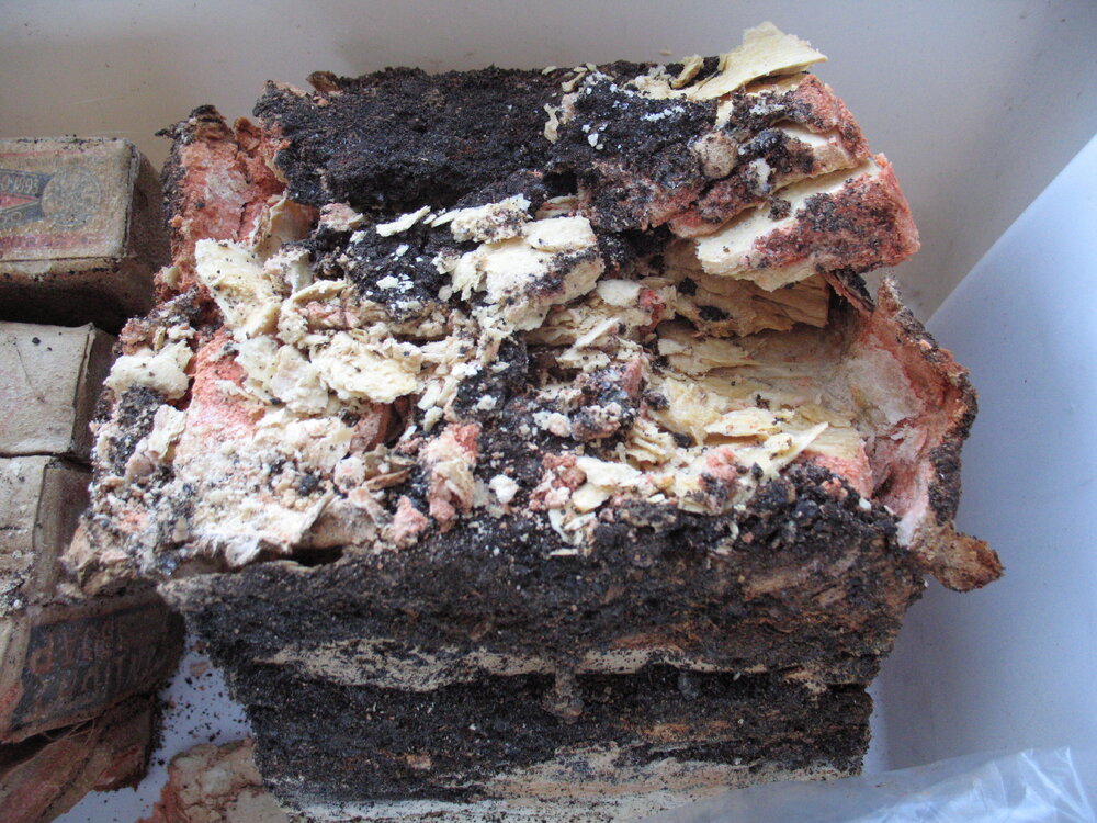 Sunlight' soap conservation (001)