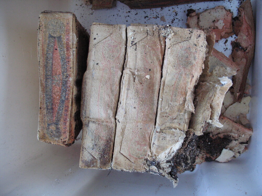 Sunlight' soap conservation (002)