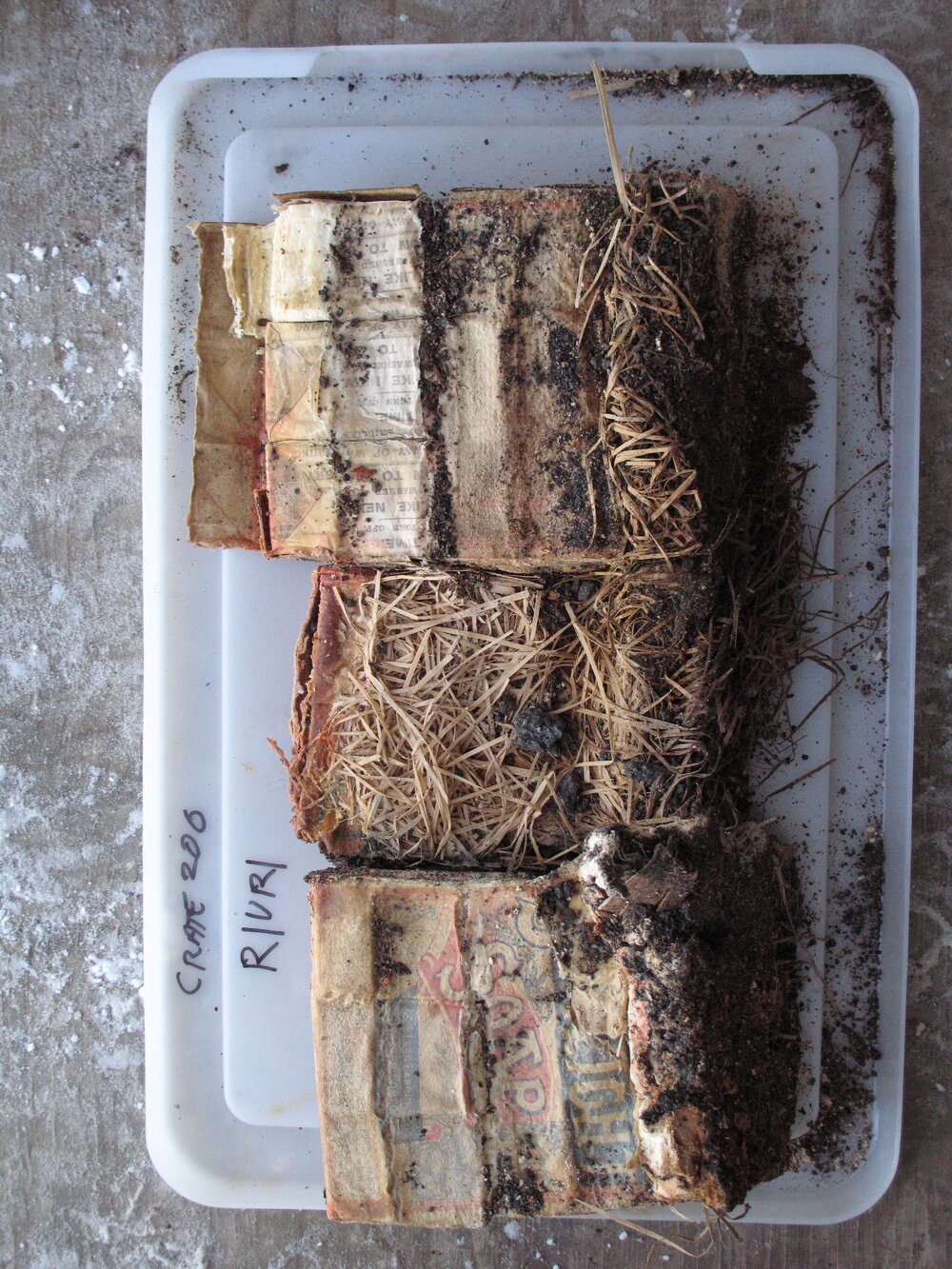 Sunlight' soap conservation (003)