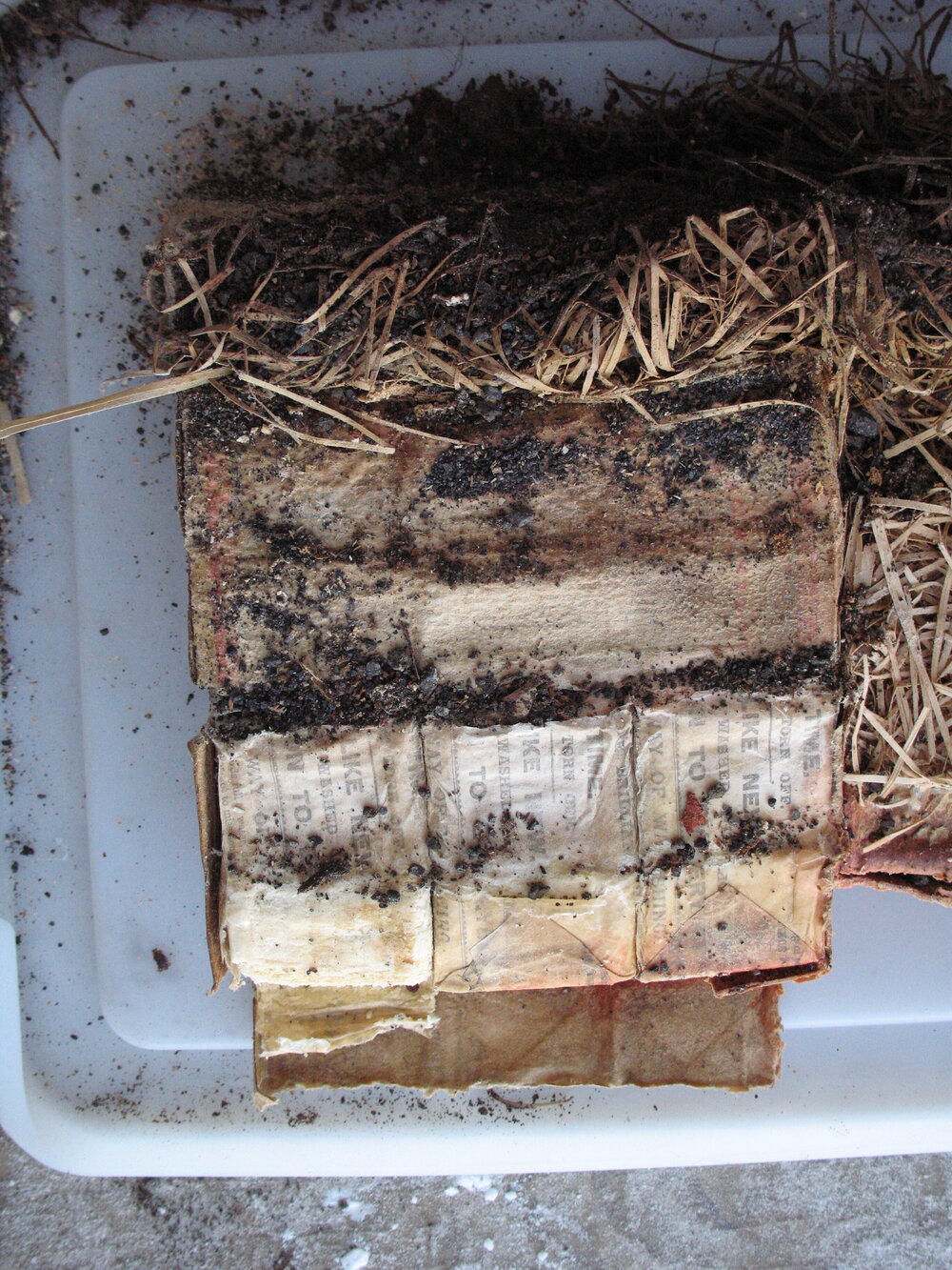 Sunlight' soap conservation (004)