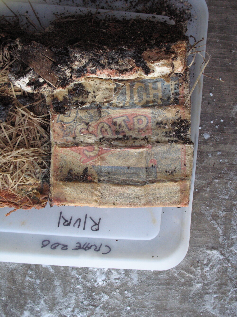 Sunlight' soap conservation (005)