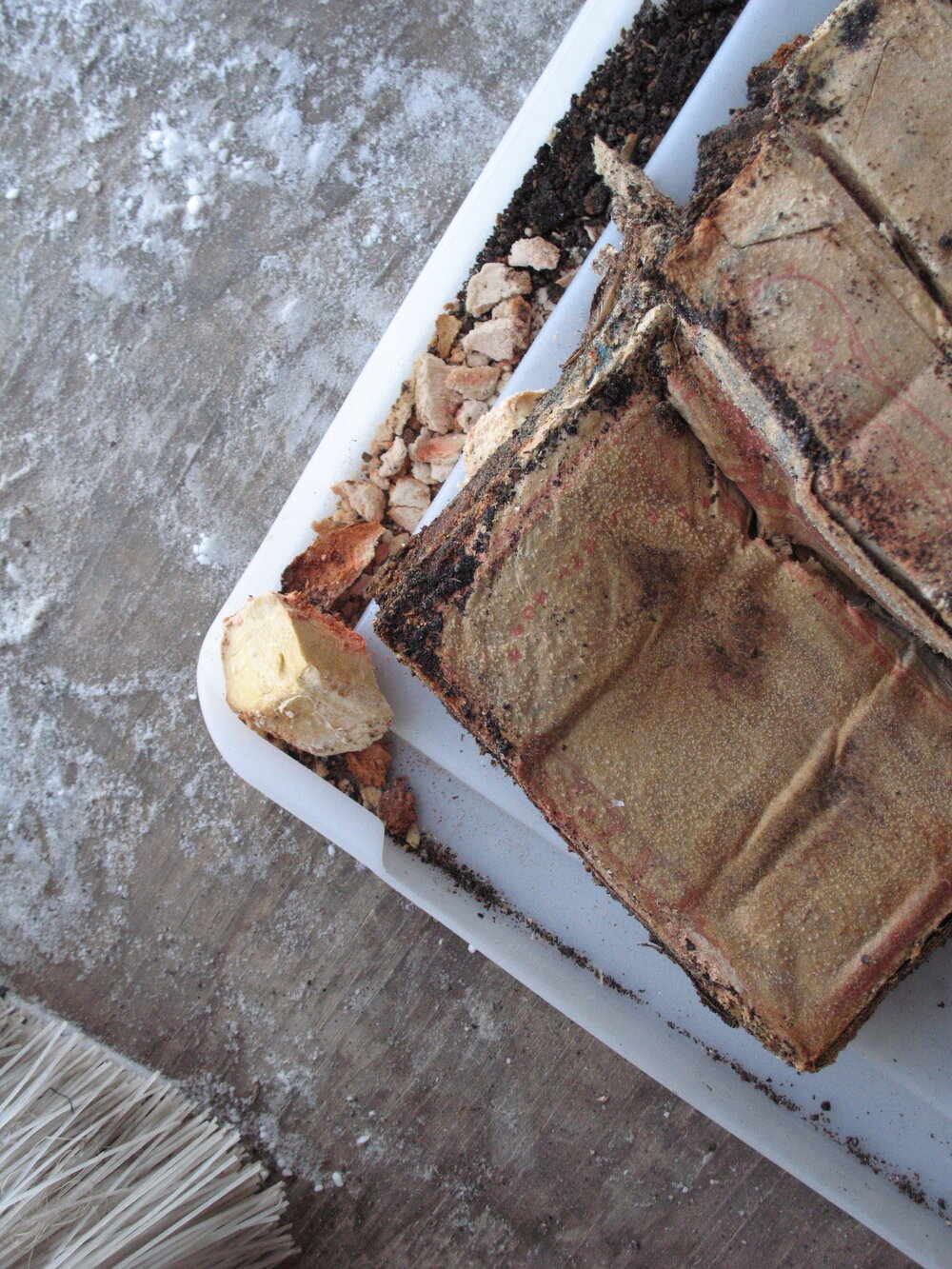 Sunlight' soap conservation (009)