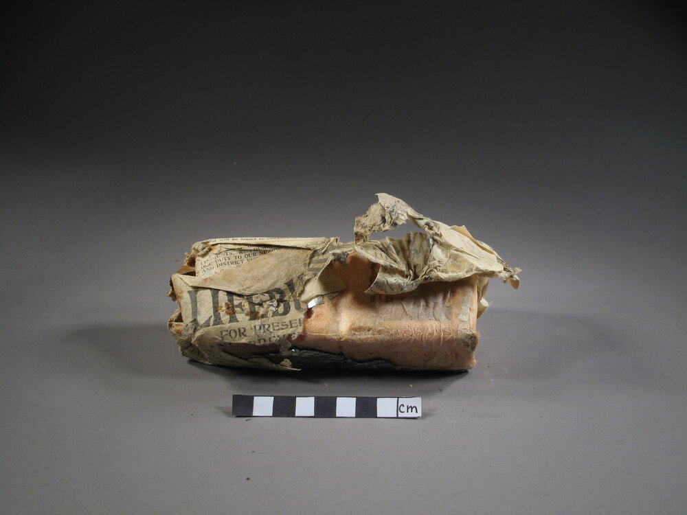 Sunlight' soap conservation (013)