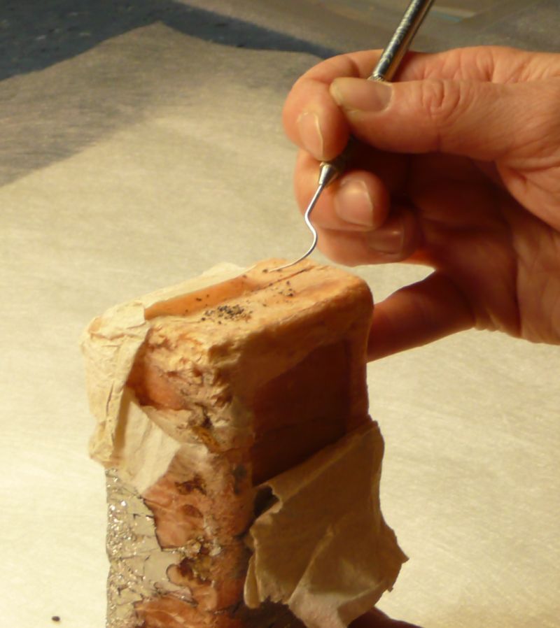 Sunlight' soap conservation (032)