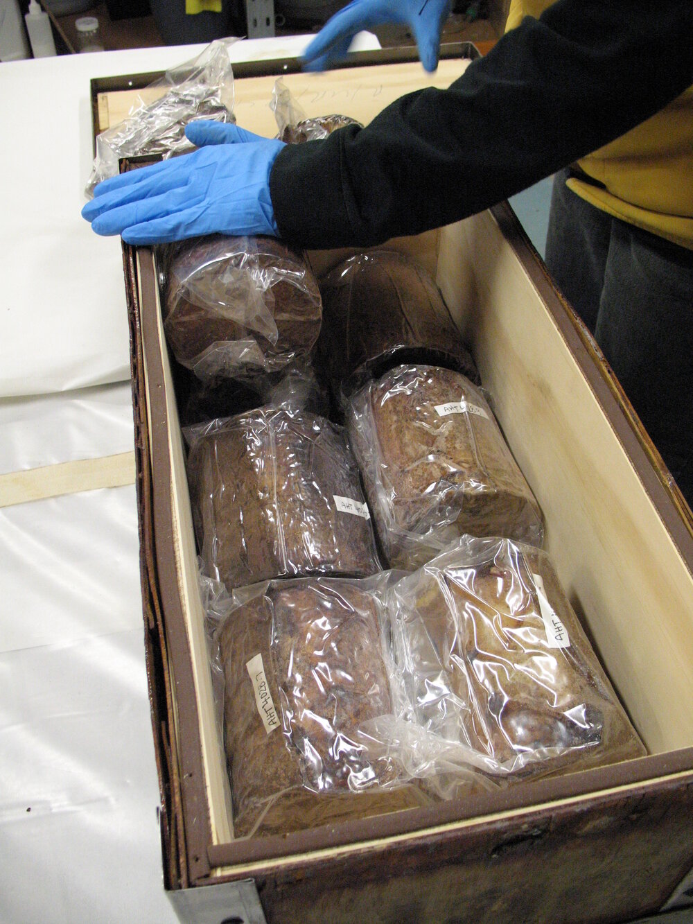 Venesta case packing project (012)