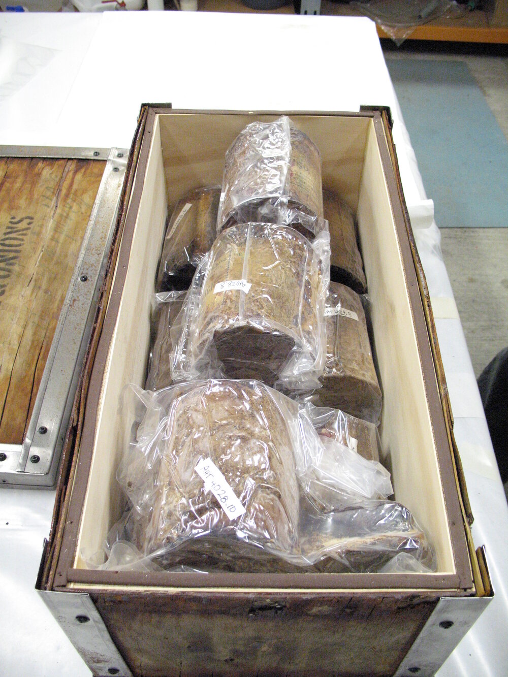 Venesta case packing project (013)