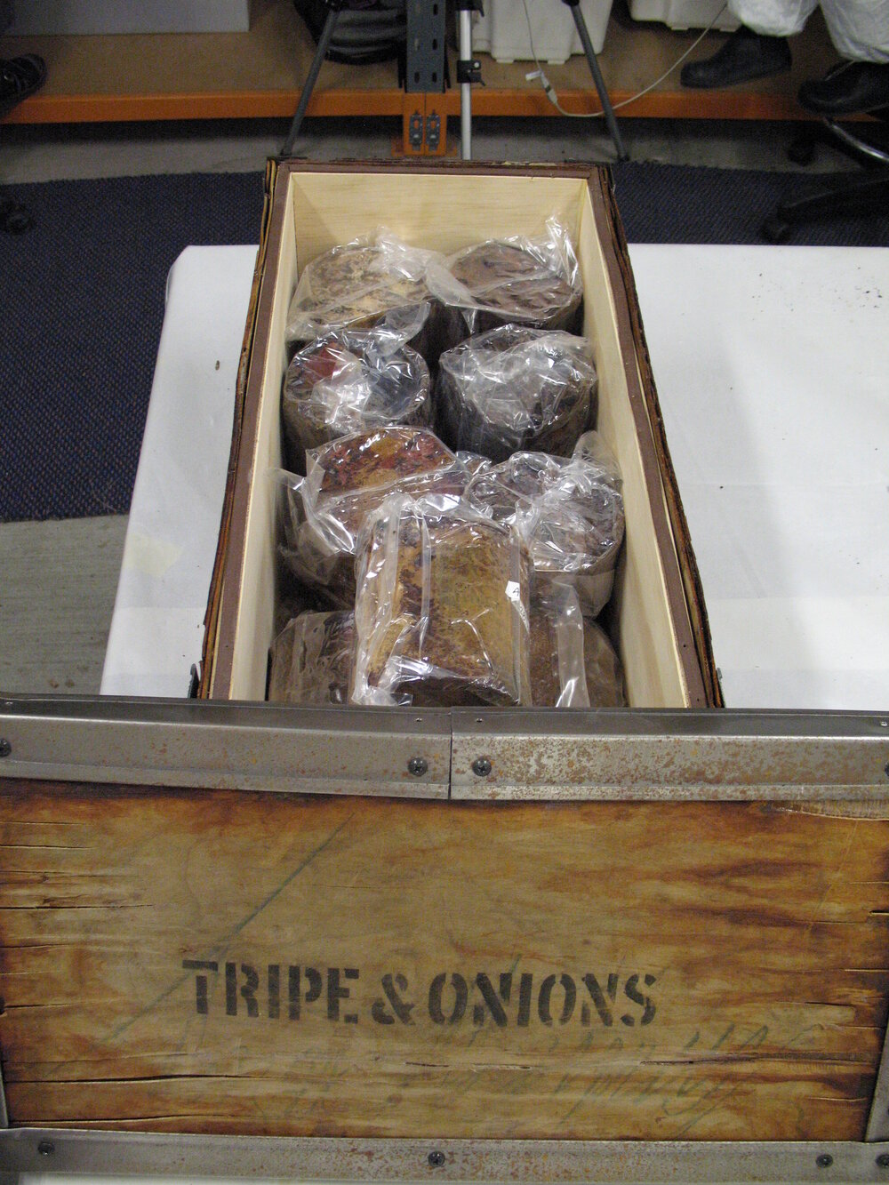 Venesta case packing project (021)